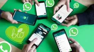 Cara Mengubah Pesan Suara Jadi Pesan Teks di dalam WhatsApp Terbaru