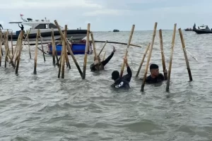 Bareskrim Duga SHGB juga SHM Pagar Laut Tangerang Pakai Girik Palsu