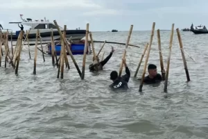 Bareskrim Klaim Telah Terbitkan Surat Penyelidikan Pagar Laut Tangerang sejak 10 Januari 2025
