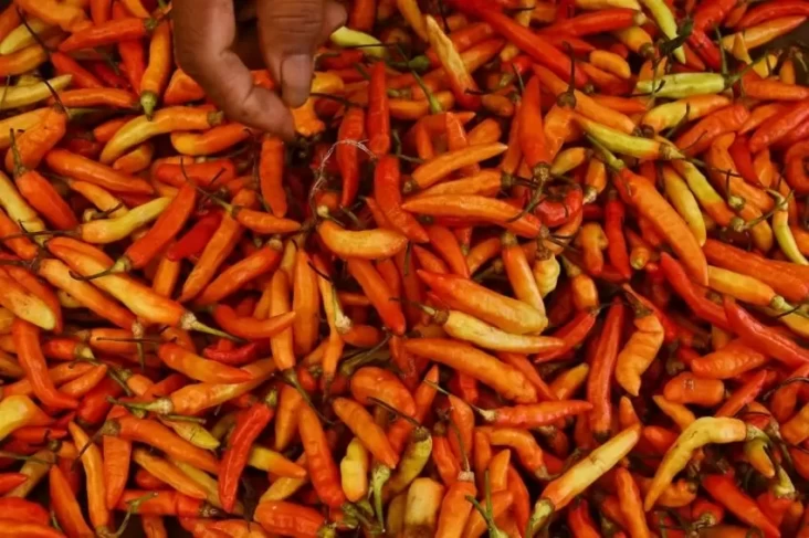 Ini adalah Strategi Bapanas Tekan Harga Cabai yang digunakan Tengah Meroket