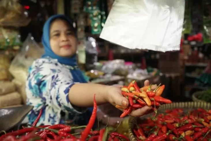 Mentan Amran Sebut Harga Cabai Berangsur Turun