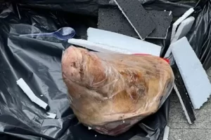 Seret Dalang Teror Kepala Babi kemudian Bangkai Tikus di dalam Kantor Tempo ke Meja Hijau!