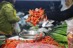 Update Harga Pangan Hari Minggu 9 Maret 2025, Bawang, Cabai kemudian Beras Masih Naik