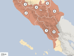 Lokasi dan Kronologi Kecelakaan yang Tewaskan Ibu dan Anak di Aceh Tenggara