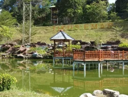 Pantai Tikus Emas: Destinasi Murah dengan Fasilitas Lengkap dan Pemandangan Laut Indah di Bangka Belitung