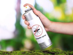 Membuat Semprotan Anti Nyamuk Alami dari Serai dan Eucalyptus