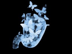 Mengapa Perut Terasa “Kupu-kupu” Saat Gugup? Ini Penjelasan Ilmiahnya