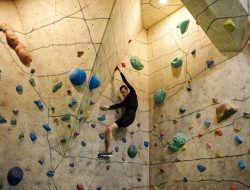 6 Shio Penuh Energi untuk Mencapai Kekayaan, Segala Hambatan Dilewati