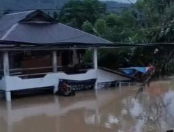 Banjir Genangi Jalan Padang-Bengkulu, Air Capai 1 Meter