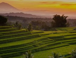 Bali Siapkan Meja Satu untuk Investasi Asing