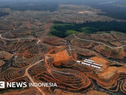 Presiden Prabowo Janjikan Selidiki Kerusakan Hutan Sumut: Masalah Kehidupan dan Keselamatan Manusia