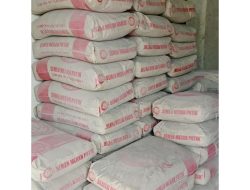 Lampaui Target Hijau, Semen Merah Putih Buktikan MPTree 16 Kali Lebih Efektif