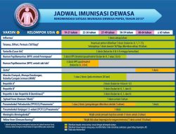 Jadwal Kapal PELNI KM Sirimau Desember 2025, Rute Terbaru
