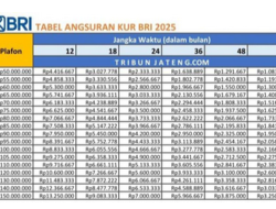 Tabel KUR BRI 2025: Cicilan Pinjaman Mulai Rp1 Juta