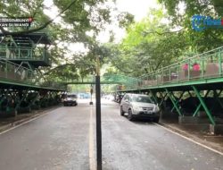 Itinerary Hutan Kota Babakan Siliwangi, Piknik Keluarga Hanya Rp5.000!