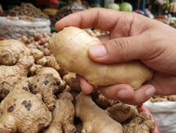 7 cara menyimpan jahe dengan kulitnya