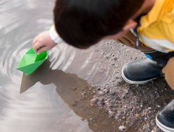 Tak Terduga, Kenali 9 Kesalahan Kecil yang Menarik Nyamuk ke Rumahmu