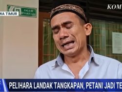 Petani Madiun Dituntut Karena Merawat Landak Jawa