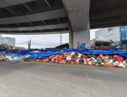 Ironi Tangsel: Kota Anggrek Terbungkus Sampah