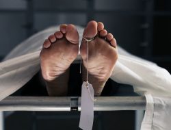 Mantan Manajer Kamar Mayat Harvard Dihukum 8 Tahun Penjara Usai Jual Organ Tubuh sebagai Perhiasan