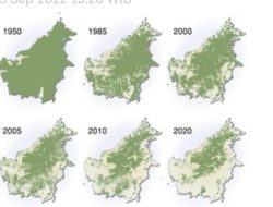 Kembalikan Segel 3 Subyek Hukum Penghancur Hutan Sumatra