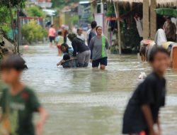 Desa Gamel Cirebon Terendam Banjir 3 Kali Seminggu, Warga Bertahan di Air Setinggi Dada