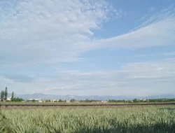 Prakiraan Cuaca Malang-Kota Batu Hari Ini: Hujan, Berawan, dan Suhu Dingin 16°C