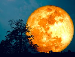Supermoon dan Bulan Dingin 2025 Menggugah Langit Indonesia: Purnama Terang di Akhir Tahun