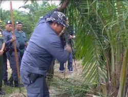 Jejak Alat Berat Ungkap Penebangan Ilegal, Ratusan Hektar Hutan Hilang!