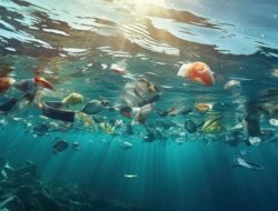 Mikroplastik: Ancaman Tersembunyi di Kehidupan Masa Kini