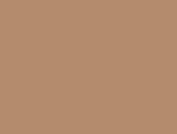 30 Warna Cokelat Cat Tembok dan Maknanya