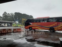 Jadwal dan Harga Tiket Bus AKAP Bali ke Jawa Minggu (4/1), Cek Sekarang!
