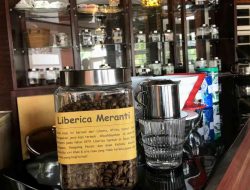 Jejak Kopi Liberica Meranti Riau: Bukan Robusta, Bukan Arabika