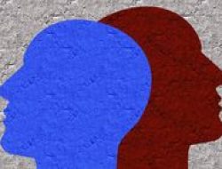 16 Tipe Kepribadian MBTI: Mana yang Paling Cocok untukmu?