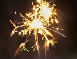 Warga Jerman Mulai Menolak Tradisi Petasan Tahun Baru, Minta Larangan