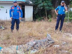 Penjaga Embung Persemaian Bocorkan Kronologi Theresia Dihuni Buaya, Korban Sering Diingatkan