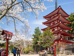 Kapan Harga Tiket Pesawat ke Jepang Murah? Ini 4 Bulan Penting