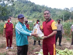Polres Basel Tanam Jagung 83 Hektare, Hasil Panen 49,75 Ton Dukung Ketahanan Pangan Nasional