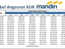 Simulasi KUR Mandiri 2026: Pinjam 500 Juta dengan Bunga Rendah