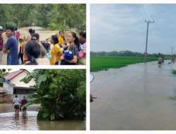 Sungai Belitang Meluap, 1.108 Rumah Tenggelam dan Jalan Provinsi Lumpuh di OKU Timur