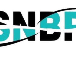 SNBP 2026: Proses Sanggah, Registrasi Akun, dan Dokumen Siswa