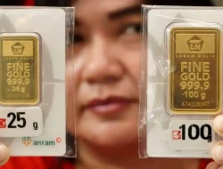Setelah terbang awal 2026, harga emas Antam di Cirebon dan Kuningan hari ini turun drastis