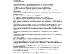 Soal HOTS Karya Ilmiah Bahasa Indonesia Kelas 11 SMA Semester 2