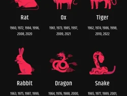 Peruntungan Shio Hari Ini: Tikus, Kerbau, dan Macan