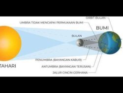 Gerhana Matahari Cincin 2026: Proses dan Kapan Dilihat di Indonesia?