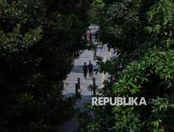 Pohon, Karbon, dan Udara Jakarta