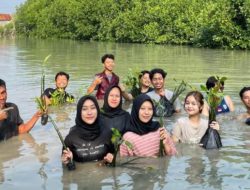 Komunitas Bumi Hijau, Penjaga Pesisir Demak