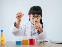 Sekolah Negeri Gratis, Mengapa Orang Tua Menengah Pilih Sekolah Swasta?