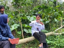 Membuka Kehidupan di Roomah Osing Coffee, Jelajahi Kebun Kopi yang Menarik