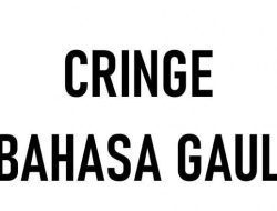 Apa Itu Cranky dan Maknanya dalam Bahasa Gaul dan Melayu Riau